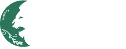 Ward App
