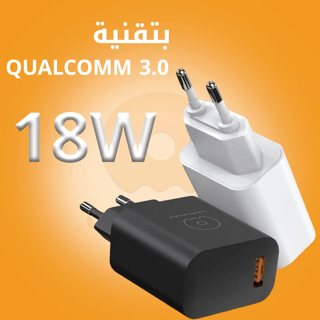 WUW-T73 Fast Wall Charger with USB Port & Cable Set