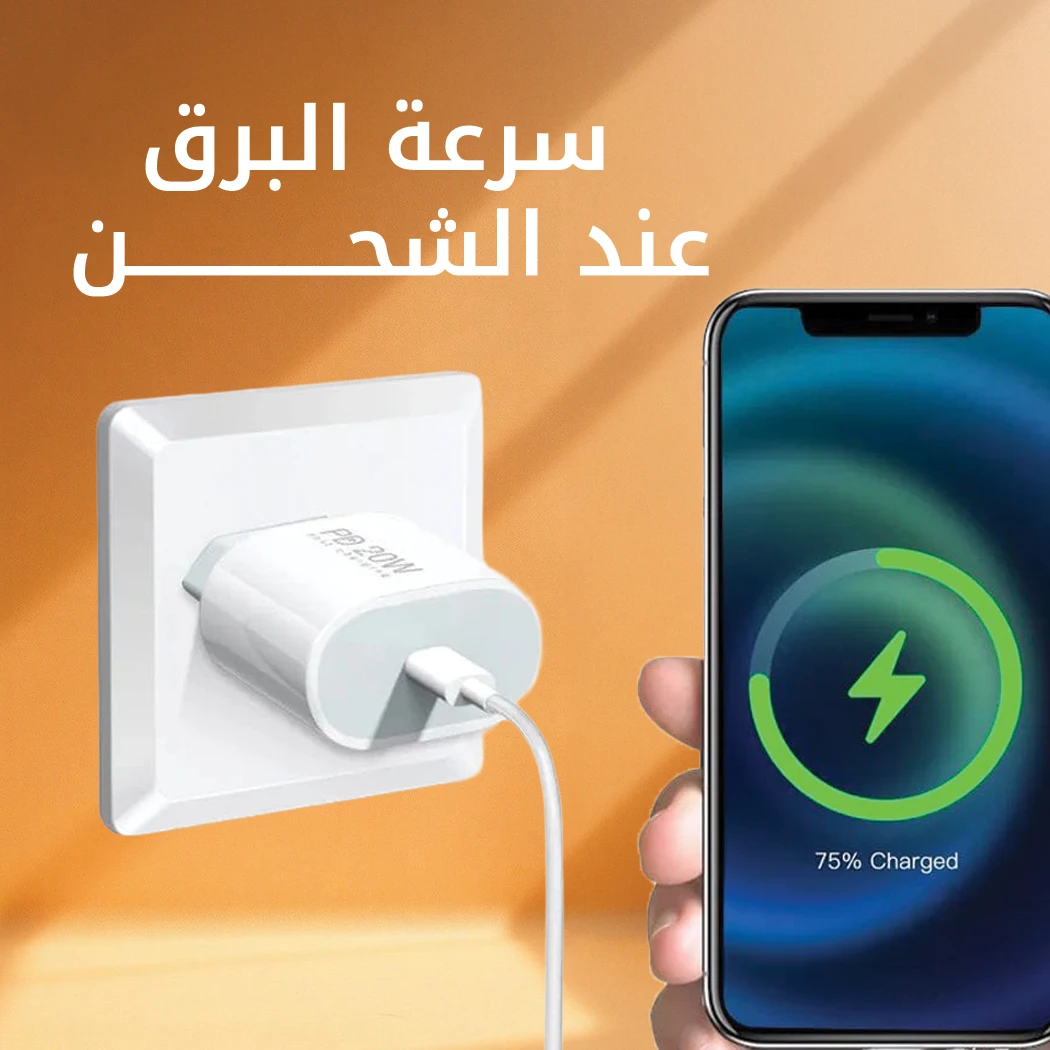 WUW-T79 Type-C Fast Wall Charger with Cable Set