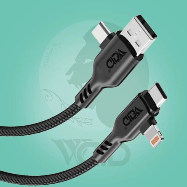 Ward WD-CB19 Multi-Plug (USB/Type-C to Type-C/Lightning) 4-in-1 Charging Cable (1.2M
